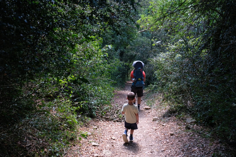 parte da trilha por dentro de uma floresta. o percurso é bem marcado